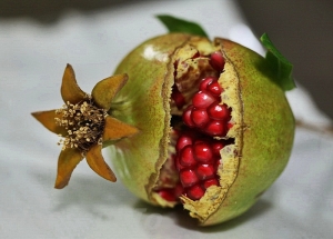Rodie-Pomegranate 2